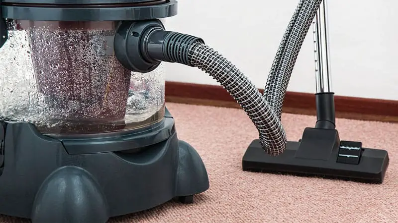 How to Get Rid of White Worms in Carpet?